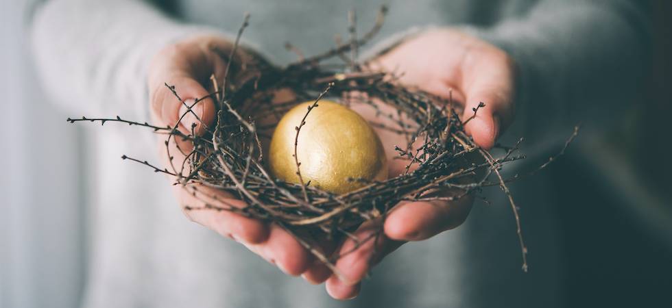 mänskliga rättigheter nsg