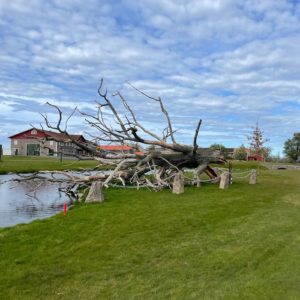 guldsmedsgolfen 2022