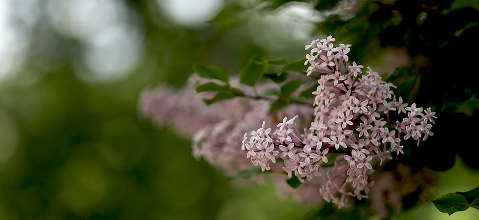Sommarens öppettider